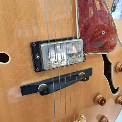 Epiphone Joe Pass Emperor 2